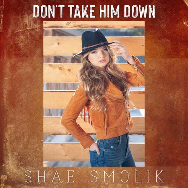 Cover art for Don't Take Him Down